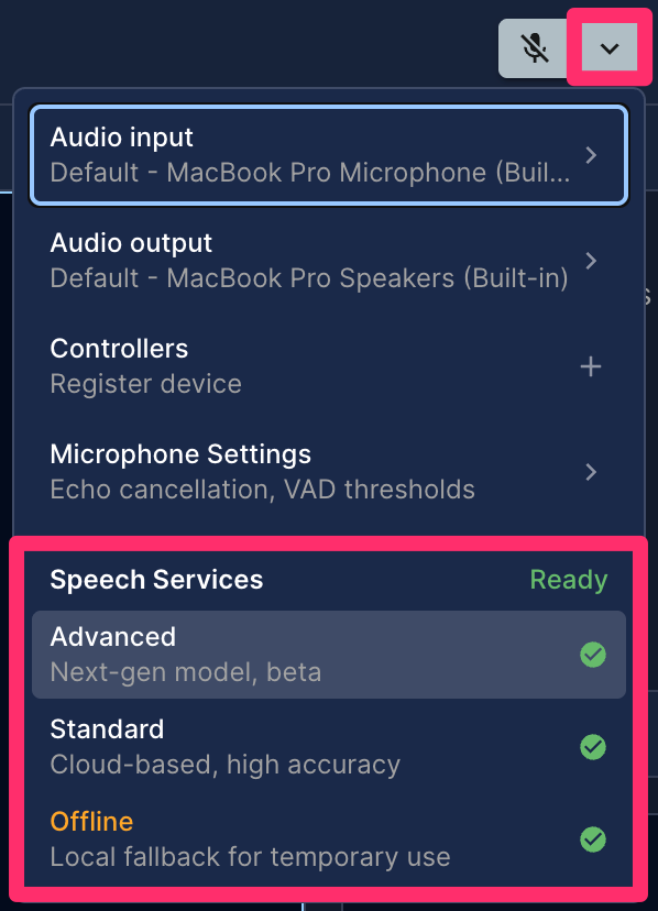 speech_services_info.png